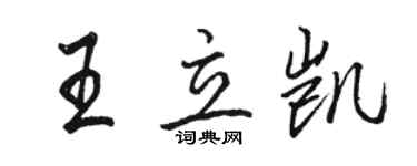 駱恆光王立凱行書個性簽名怎么寫