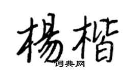 王正良楊楷行書個性簽名怎么寫