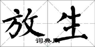 翁闓運放生楷書怎么寫