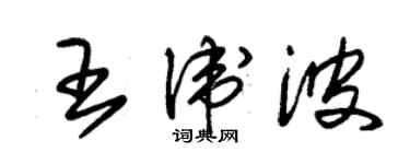 朱錫榮王衛波草書個性簽名怎么寫