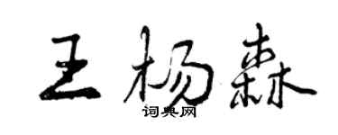 曾慶福王楊森行書個性簽名怎么寫