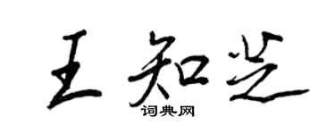 王正良王知芝行書個性簽名怎么寫