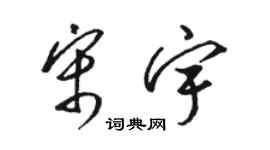 駱恆光宋宇草書個性簽名怎么寫