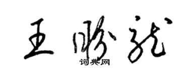 梁錦英王盼龍草書個性簽名怎么寫