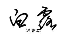 朱錫榮白露草書個性簽名怎么寫