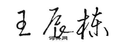 駱恆光王辰棟草書個性簽名怎么寫