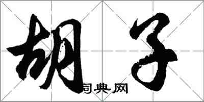 胡問遂鬍子行書怎么寫