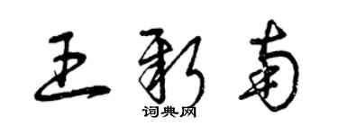 曾慶福王新南草書個性簽名怎么寫