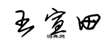 朱錫榮王宣田草書個性簽名怎么寫