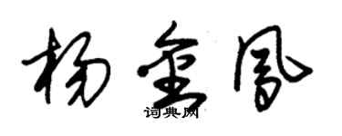 朱錫榮楊金鳳草書個性簽名怎么寫