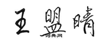 駱恆光王盟晴行書個性簽名怎么寫