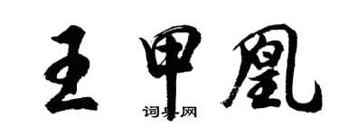 胡問遂王甲凰行書個性簽名怎么寫