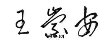 駱恆光王崇安草書個性簽名怎么寫