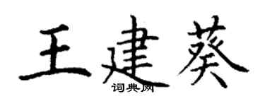 丁謙王建葵楷書個性簽名怎么寫