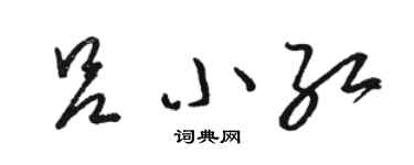 駱恆光呂小紅草書個性簽名怎么寫