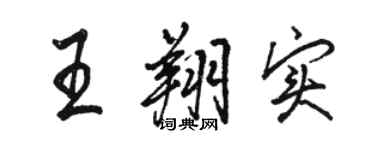 駱恆光王翔實行書個性簽名怎么寫