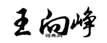 胡問遂王向崢行書個性簽名怎么寫