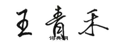 駱恆光王青禾行書個性簽名怎么寫