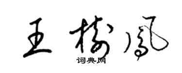 梁錦英王樹鳳草書個性簽名怎么寫