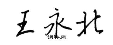 王正良王永北行書個性簽名怎么寫