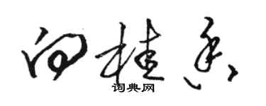 駱恆光向桂香草書個性簽名怎么寫