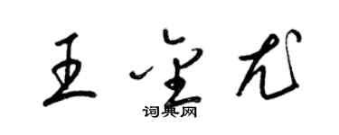 梁錦英王金尤草書個性簽名怎么寫