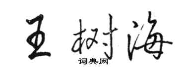 駱恆光王樹海行書個性簽名怎么寫