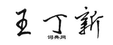 駱恆光王丁新行書個性簽名怎么寫