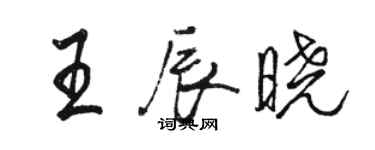 駱恆光王辰曉行書個性簽名怎么寫