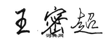 駱恆光王密超行書個性簽名怎么寫