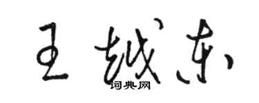 駱恆光王越東草書個性簽名怎么寫