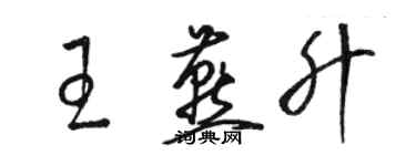 駱恆光王燕升草書個性簽名怎么寫