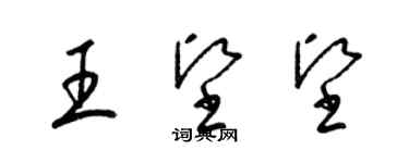 梁錦英王堅堅草書個性簽名怎么寫