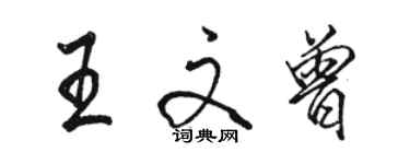 駱恆光王文曾行書個性簽名怎么寫