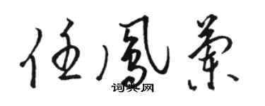 駱恆光任鳳蘭草書個性簽名怎么寫