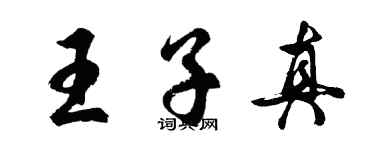 胡問遂王子真行書個性簽名怎么寫
