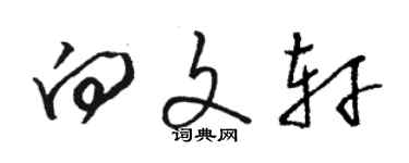 駱恆光向文軒草書個性簽名怎么寫