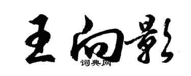 胡問遂王向影行書個性簽名怎么寫