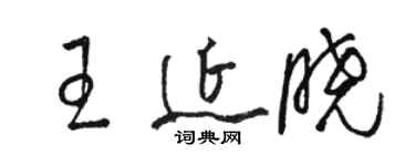 駱恆光王延曉草書個性簽名怎么寫