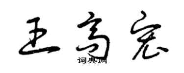 曾慶福王高宏草書個性簽名怎么寫
