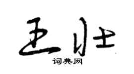 曾慶福王壯草書個性簽名怎么寫