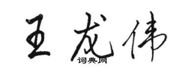 駱恆光王龍偉行書個性簽名怎么寫