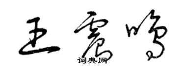 曾慶福王震鳴草書個性簽名怎么寫