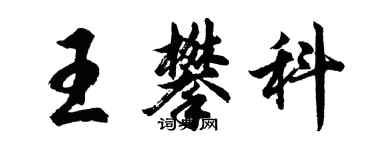 胡問遂王攀科行書個性簽名怎么寫