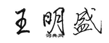 駱恆光王明盛行書個性簽名怎么寫
