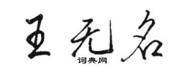 駱恆光王無名行書個性簽名怎么寫