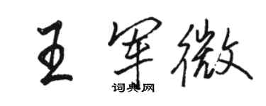 駱恆光王軍微行書個性簽名怎么寫