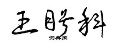 曾慶福王盼科草書個性簽名怎么寫