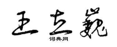 曾慶福王立巍草書個性簽名怎么寫