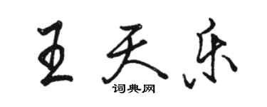 駱恆光王天樂行書個性簽名怎么寫